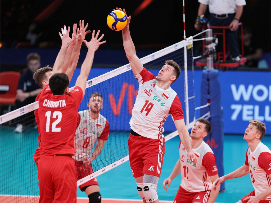 有的高度 有的高度